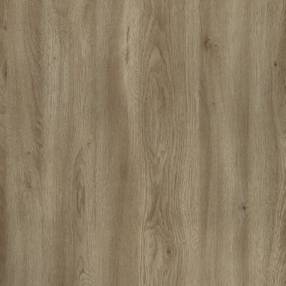 Simple Allen 9555 Suri Gold Oak 3D Model in Earth Color