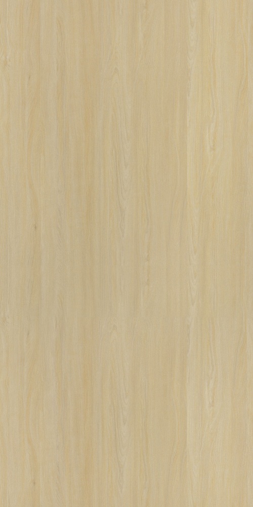 E0-1829_ Italian White Maple