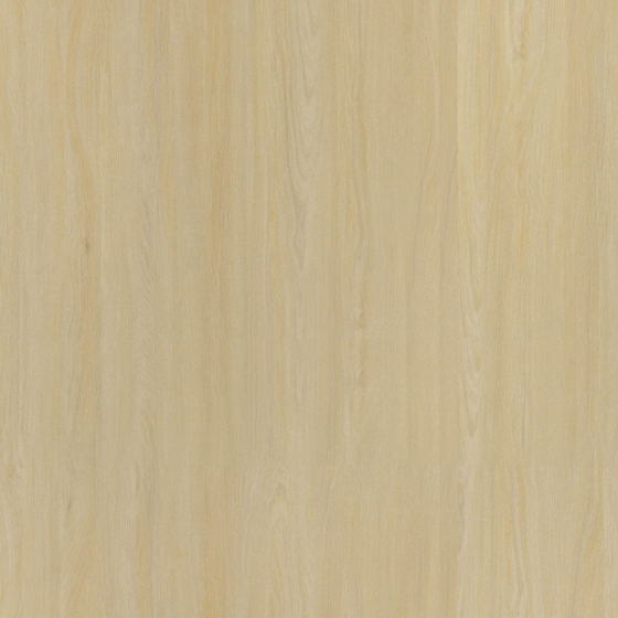 Italian White Maple Wood Veneer in Earth Color