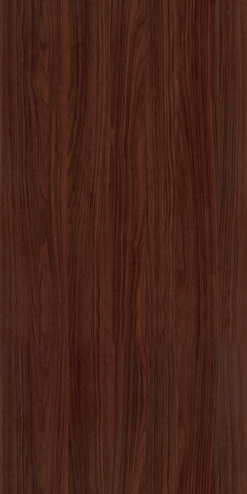 E0-9527_ North American Walnut -4