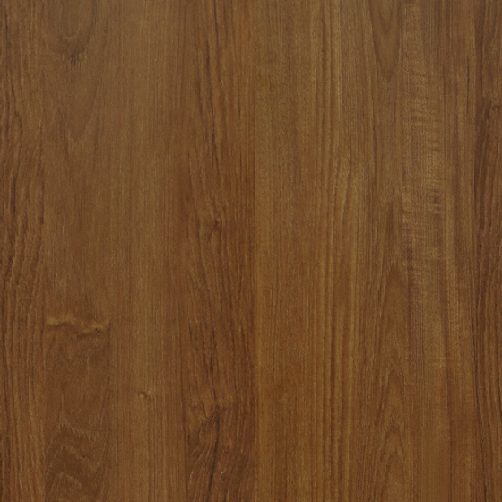 Salop Teak Panel 3D Model in Earth Color