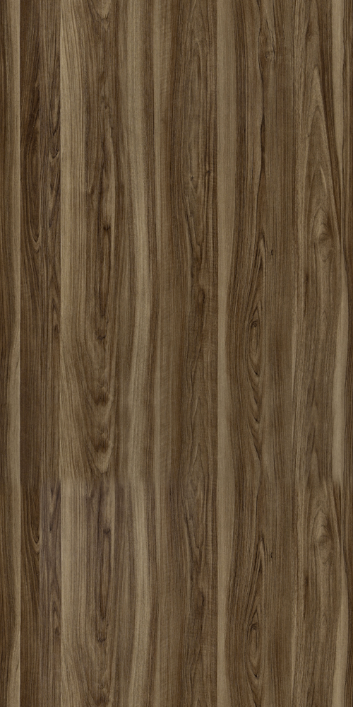 E0-1666_ European Walnut