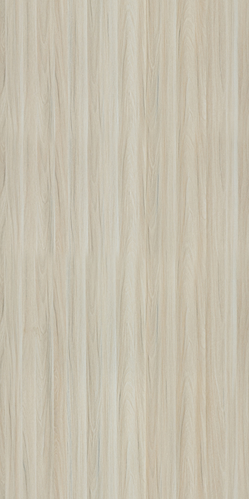 E0-8516_ Rhine White Maple