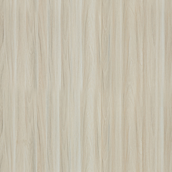 White Rhine Maple Wood Panel 3D Model