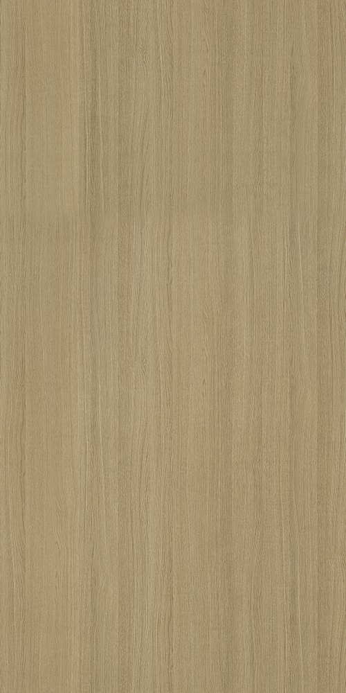 E0-1693_ American Yellow Oak