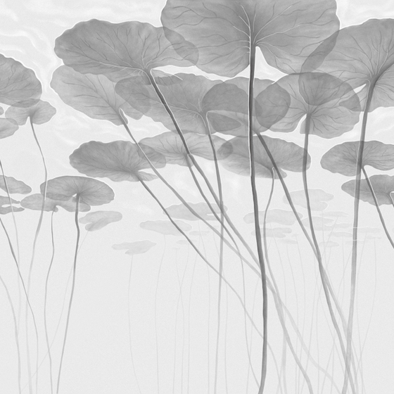 M0012K-G Water Lily in Gray Pattern
