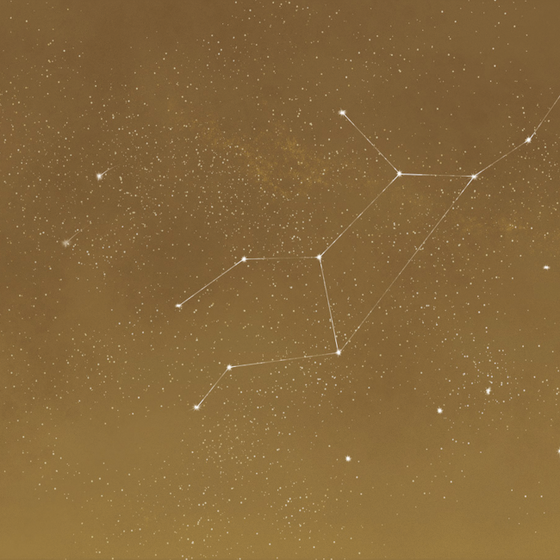 Earth Tone Pattern M0010K-B Nebula 3D Model