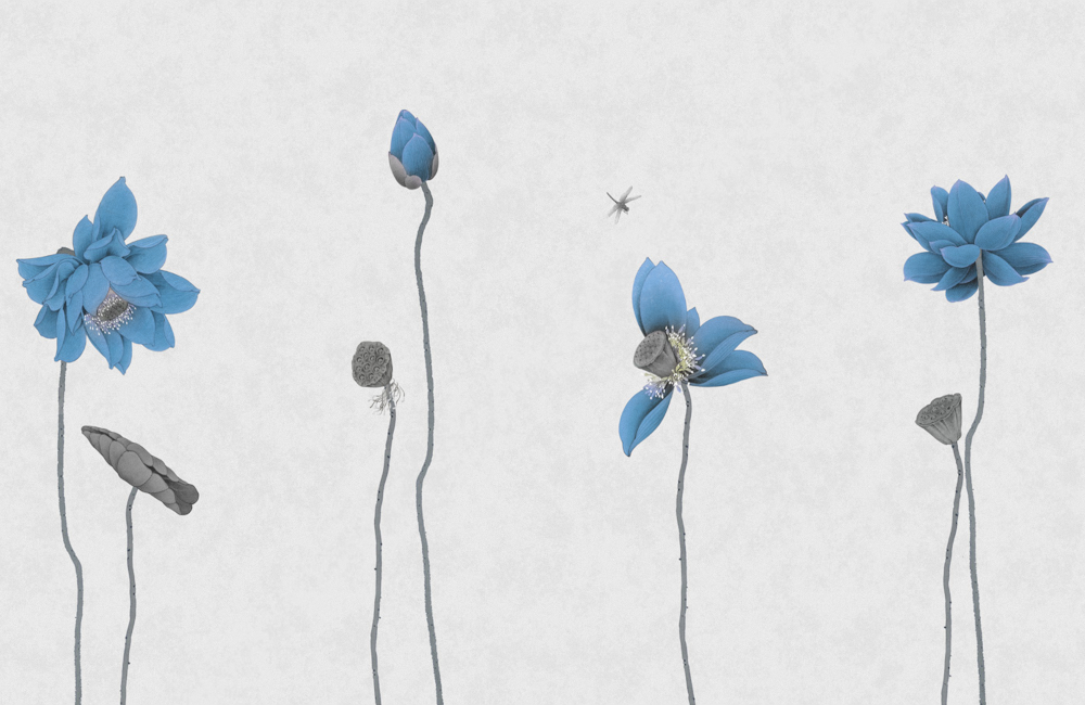 SQ02045-A background wall