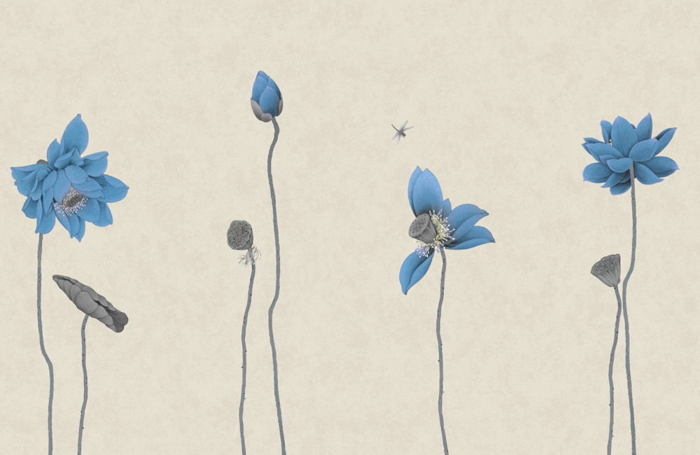 SQ02045-B background wall