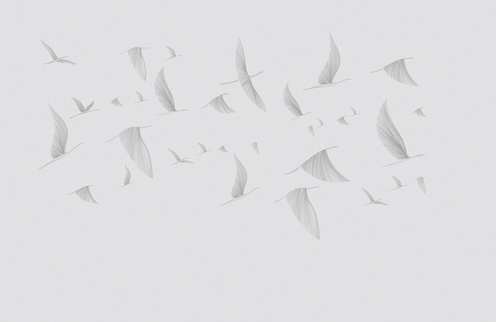 M0005K-E flying wings