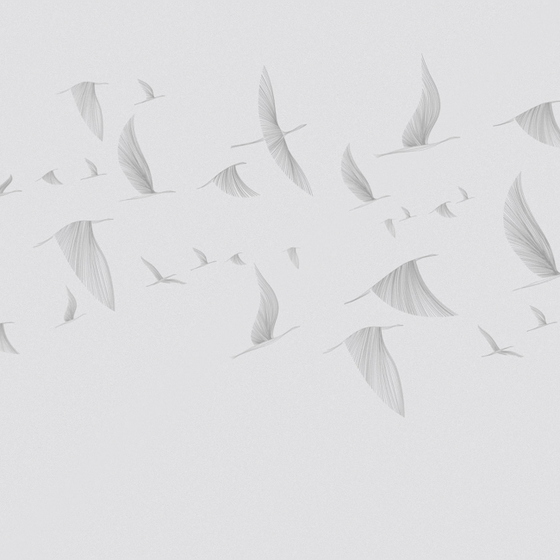 M-950 Flying Wings 3D Model