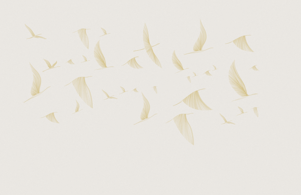 M0005K-A flying wings