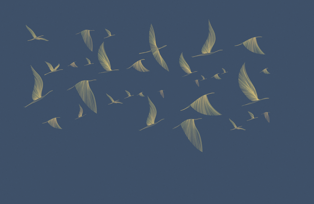 C0011K-D Flying Wings 3D Model in Black for Artistic Designs