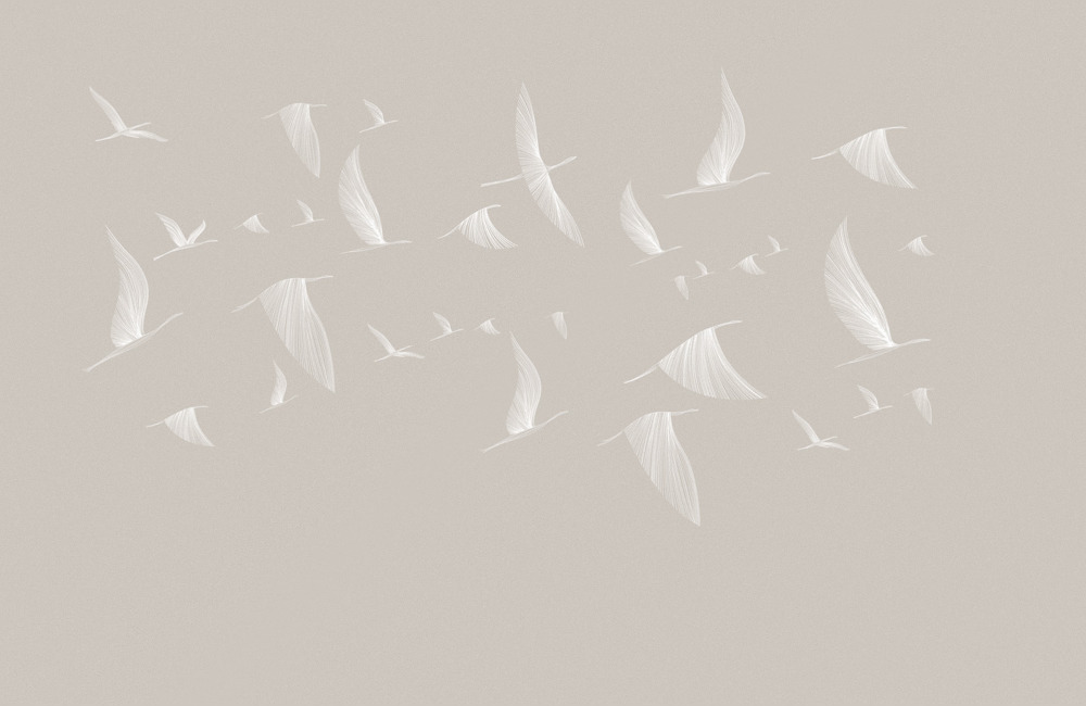 M0005K-B flying wings