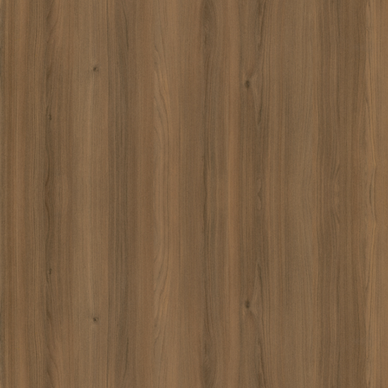 Atlas Cedar Semi Open Paint 3D Model in Earth Color