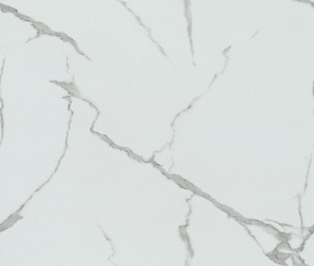 Crocodile-wall paint/paint