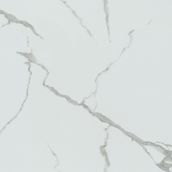 Crocodile Wall Paint 3D Model in White