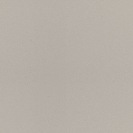 Nordic Style Champagne Silver Door Panel in Gray