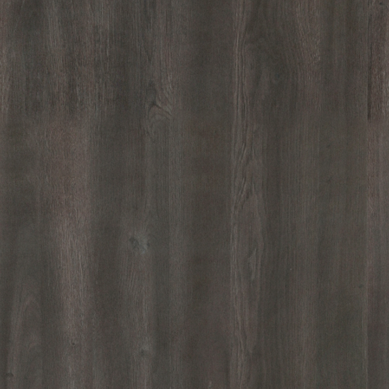 Simple Allen Suri Gold Oak Patterned Panel in Black