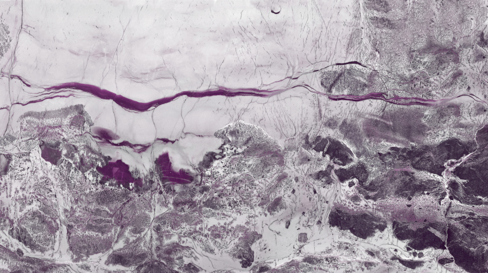 Z0002-Zidai Yuanshan