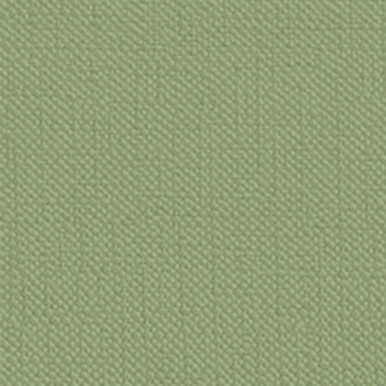 Olive Green Wooden Panel 3D Model