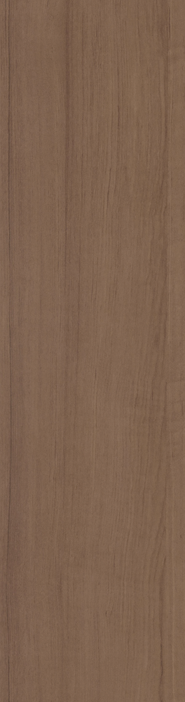 M008Y- Coconut Palm Wood