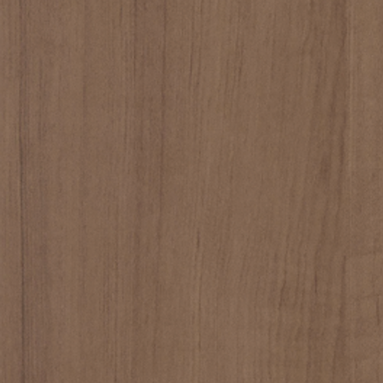 M008Y Coconut Palm Wood 3D Model in Earth Color