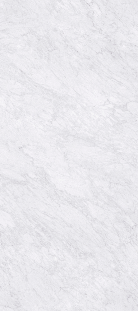 Chameleon Stone Wallboard 3D Model in Gray