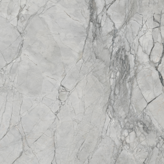 Earth Color Chameleon Stone Wallboard 3D Model for Unique Interiors
