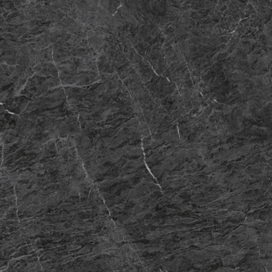 Chameleon - Stone Wallboard 3D Model in Gray