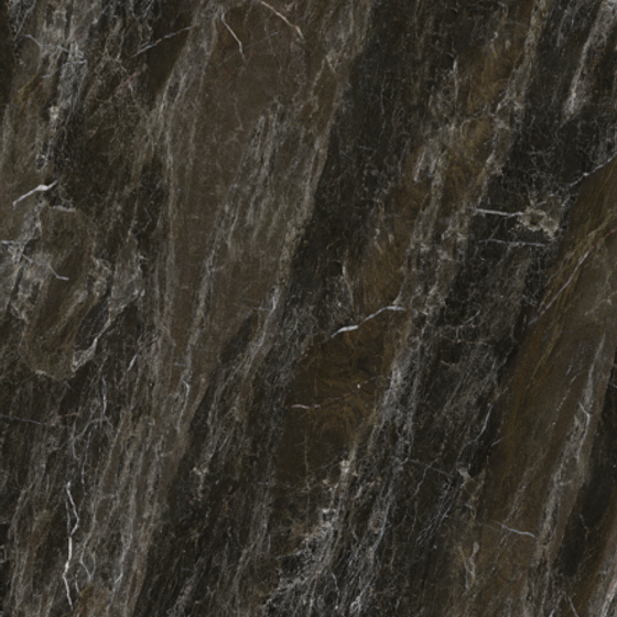 Chameleon Stone Wallboard 3D Model in Black