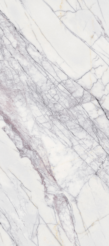 Chameleon Stone Wallboard 3D Model for Interiors