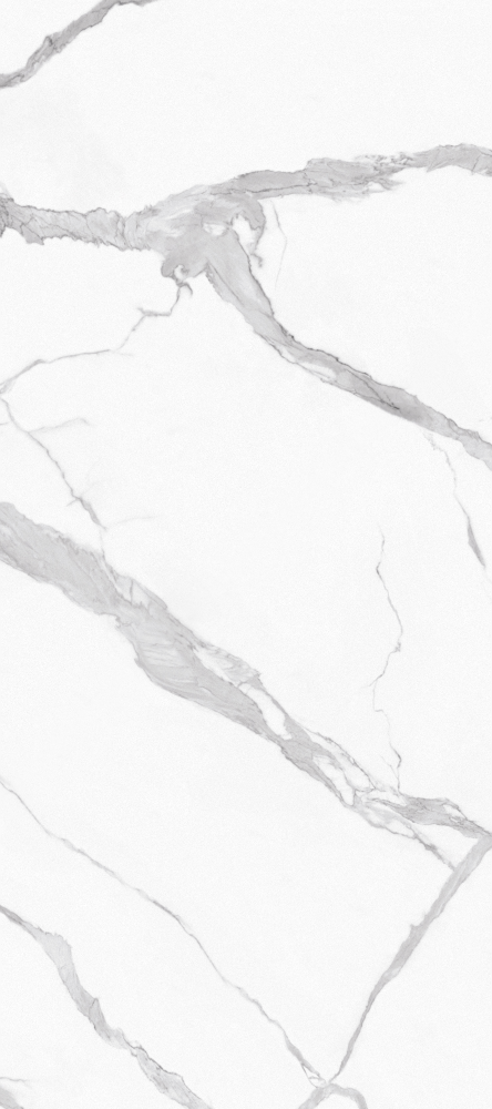 Chameleon Stone Wallboard 3D Model in Earth Tone