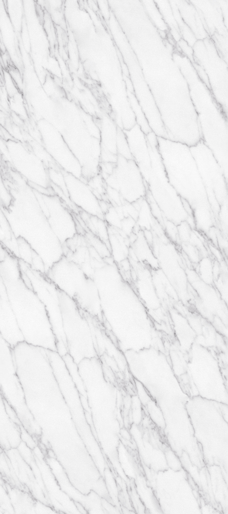 Chameleon - Stone -CKC013C Arctic frost - Wallboard -1220*2745mm