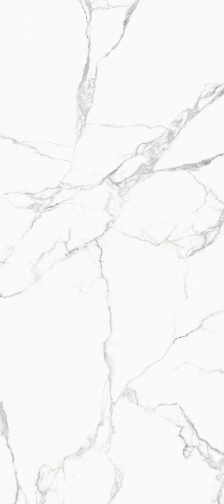 Chameleon - Stone -CKC015B Frost - Wallboard -1220*2745mm