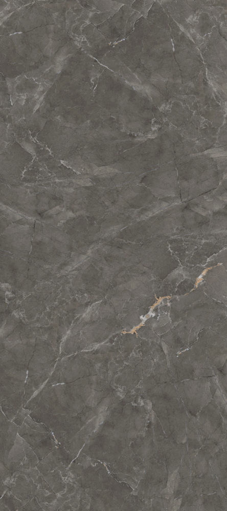 Chameleon - Stone -CKC014A - Wallboard -1220*2745mm