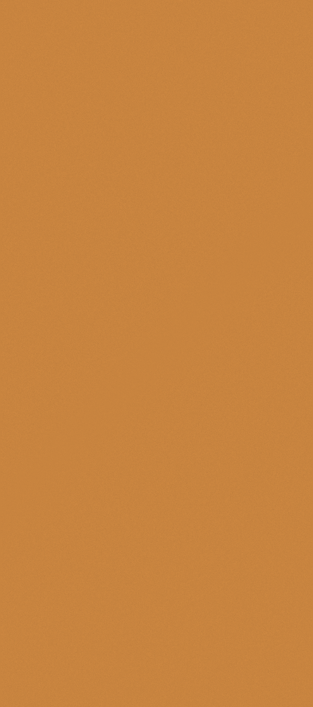 Chameleon - Solid color -CKB104 warm orange - Wallboard cabinet door panel -1220*2745mm