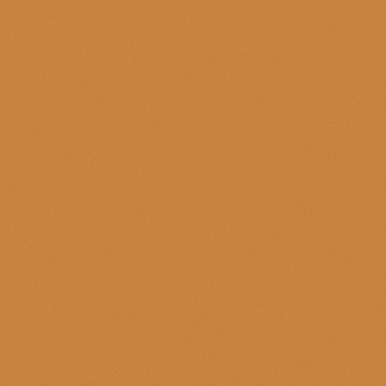 Chameleon Solid Color Wallboard Cabinet Door Panel in Warm Orange