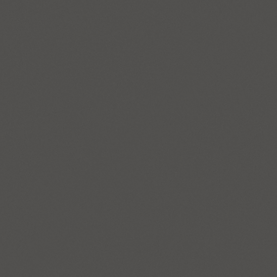 Dark Grey Wooden Panel Door 3D Model