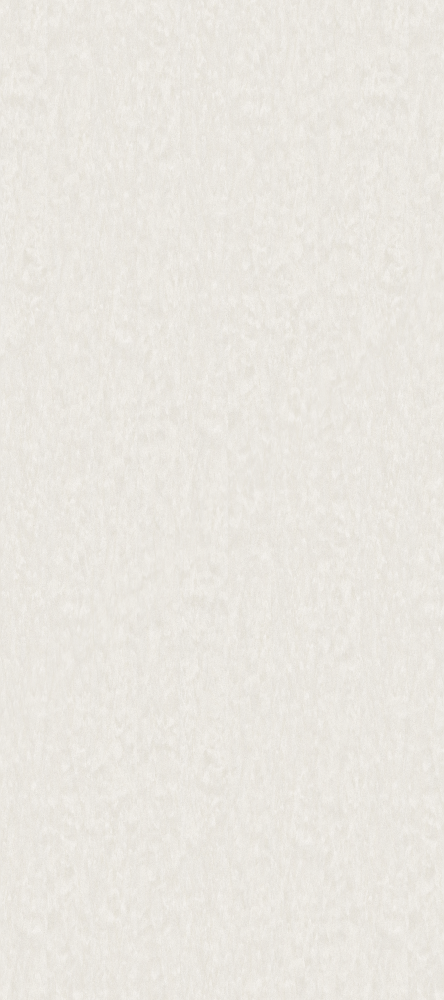 Kimmilong - Cement concrete Pattern - CKB206 Freckle White - Cabinet Door Panel - 1220 x 2745mm