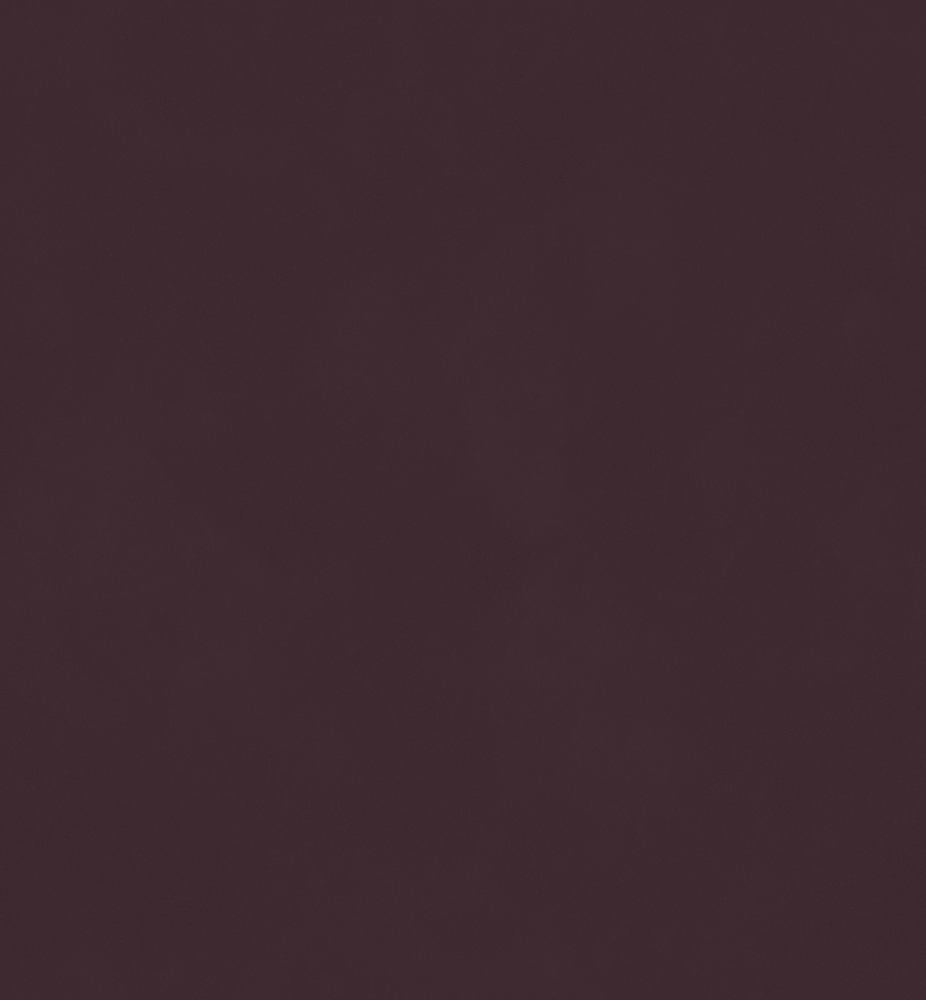 Real Time Material-Leather