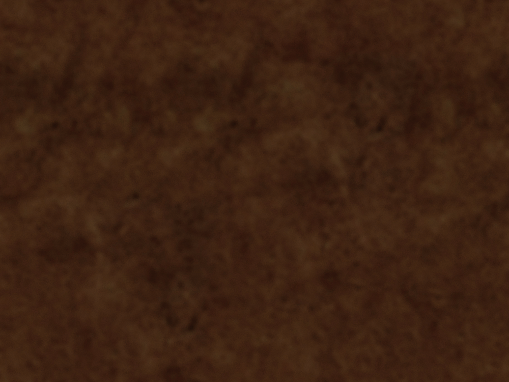 Real Time Material-Leather