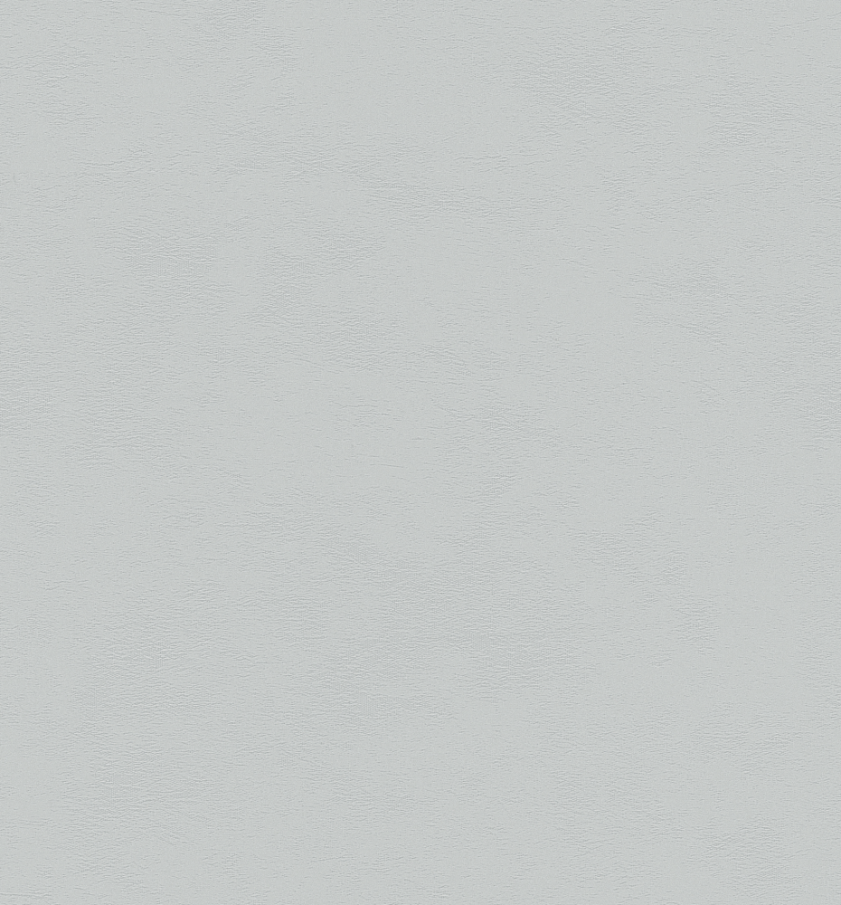 JN17131 Silverfish White Critine Wallpaper