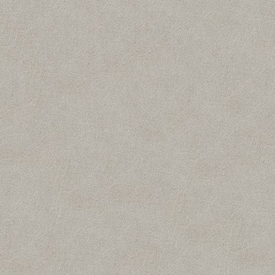 Fine-Grained Leather Material 3D Model in Gray