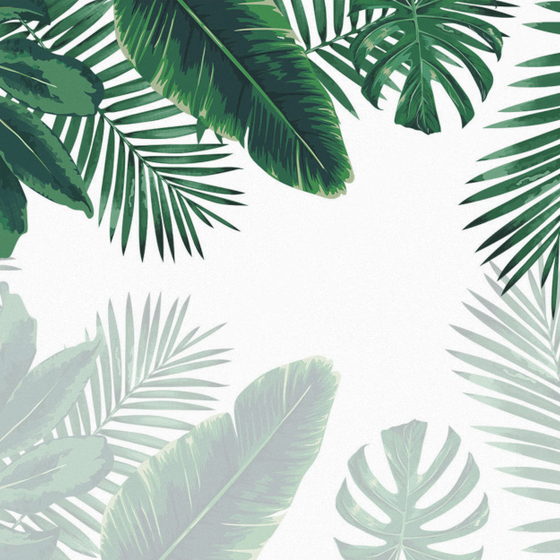 Tropical Plants Nordic Leaves Mural 3D Model