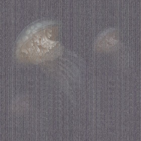 Collect Wall Mural Wallpaper-CL6331-B