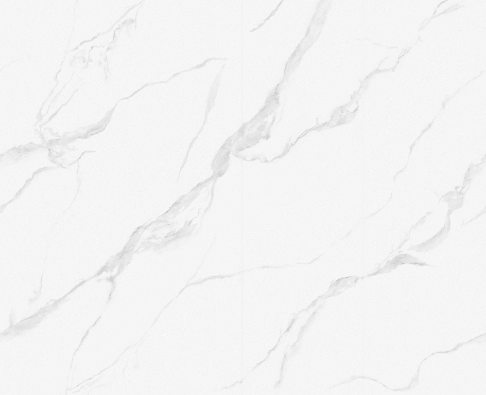 Royal Fish Maw White