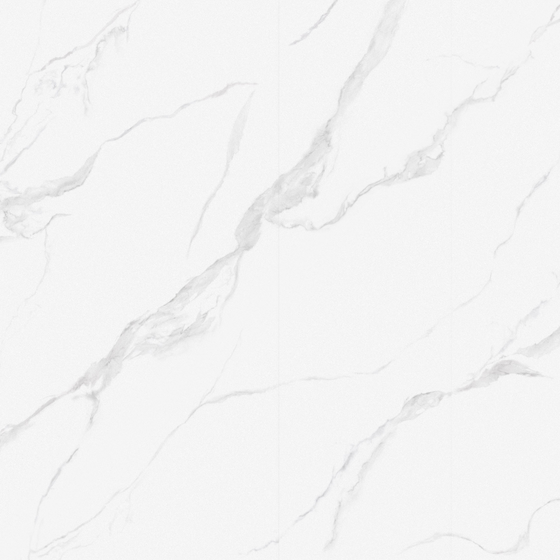 Royal Fish Maw White