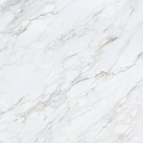 Baroque White Decorative Pattern 3D Model for Elegant Interiors