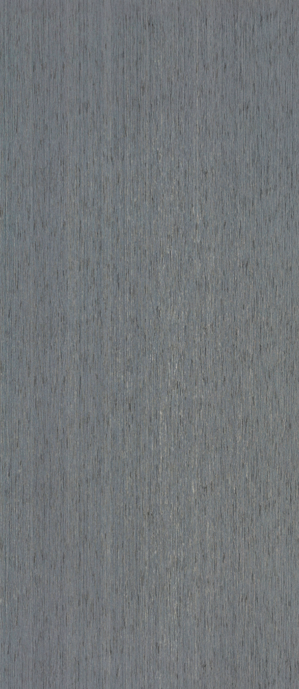 DB306-A06 Technology Ruling 3